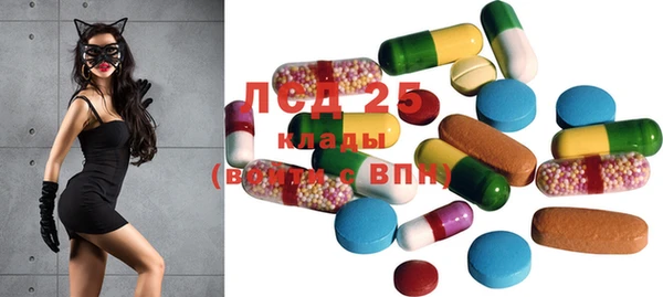 ГАЛЛЮЦИНОГЕННЫЕ ГРИБЫ Майский