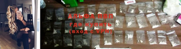 винт Алзамай