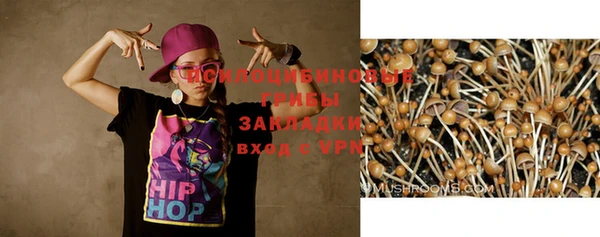 винт Алзамай