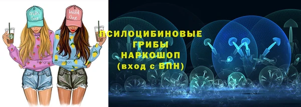 Альфа ПВП Магас