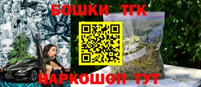 индика Первоуральск