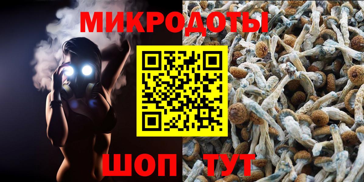Старый Оскол  Псилоцибиновые грибы мухоморы  Вход с VPN  Псилоцибиновые грибы мицелий 